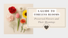 Preserved Flowers and Their Meanings: A Guide to Timeless Blooms