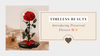Timeless Beauty: Introducing Preserved Flowers