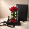 Preserved rose dome Mother’s Day gift Australia