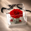 Red preserved rose in a clear acrylic box, elegant gift for her