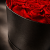 real preserved red pink close up, natural petal texture, black leather textured box