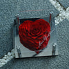 Heart Red Preserved Rose with Acrylic Cover