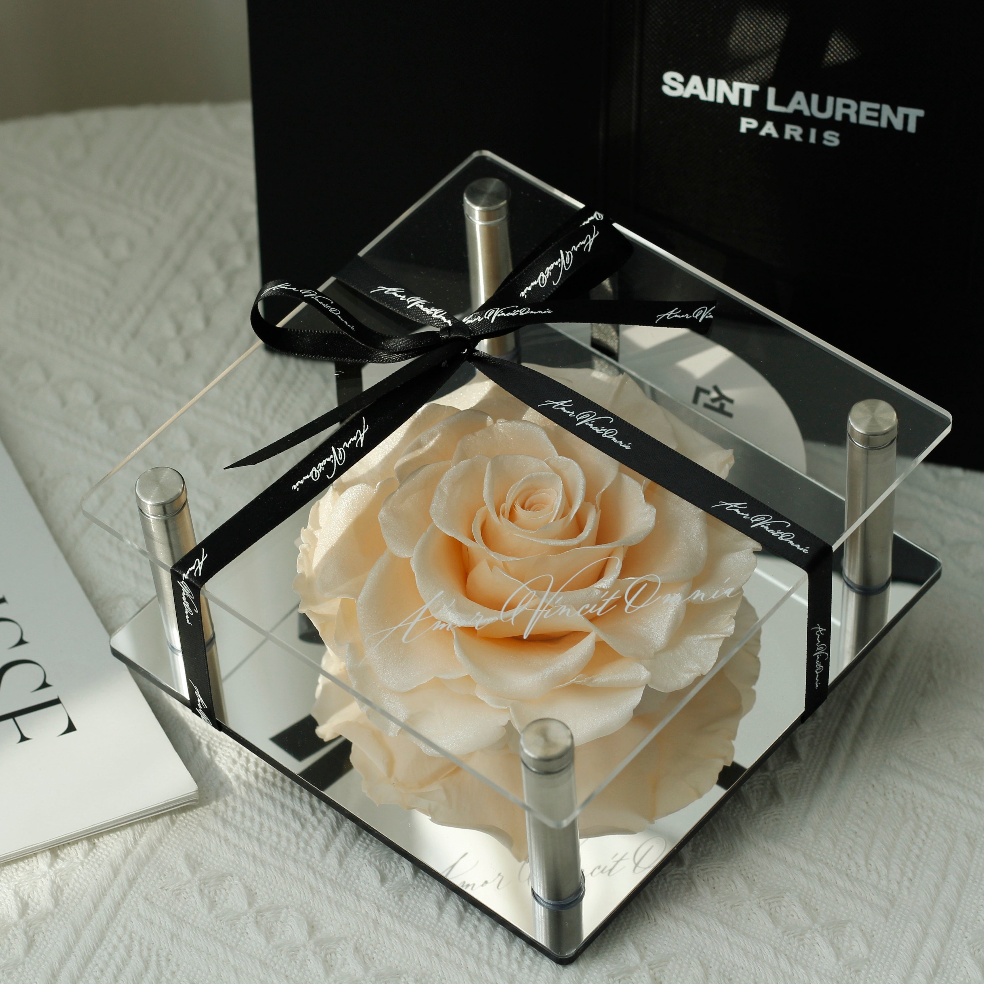 Preserved Rose in Acrylic Box – Champagne
