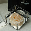 Preserved Rose in Acrylic Box – Champagne