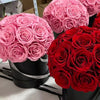 Luxury Grand Preserved Roses Box - 24 Pink Roses