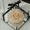 Champagne rose in a clear acrylic box with a black ribbon on a textured surface