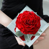 Giant Preserved Rose in Acrylic Box – Classic Red