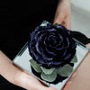 Giant Preserved Rose in Acrylic Box – Galaxy Dark