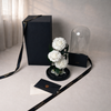 preserved white roses glass dome with premium packaging, perfect gift for her