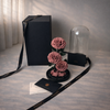 preserved rose domepink, luxury gift, real rose preserved, Australia