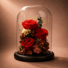 The Three Graces glass dome with three preserved red roses