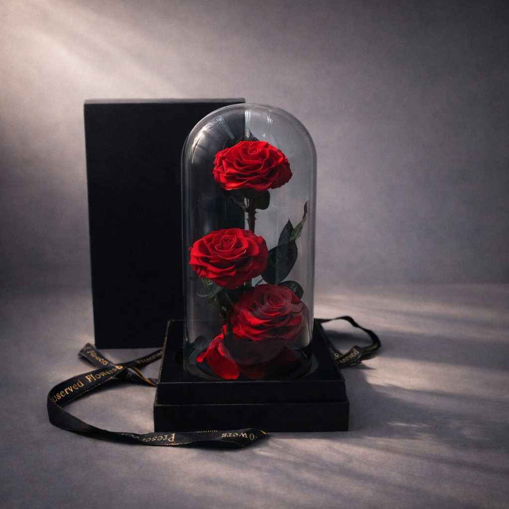 Three preserved red roses in a glass dome with a luxury  black gift box, ready to gift, Australia