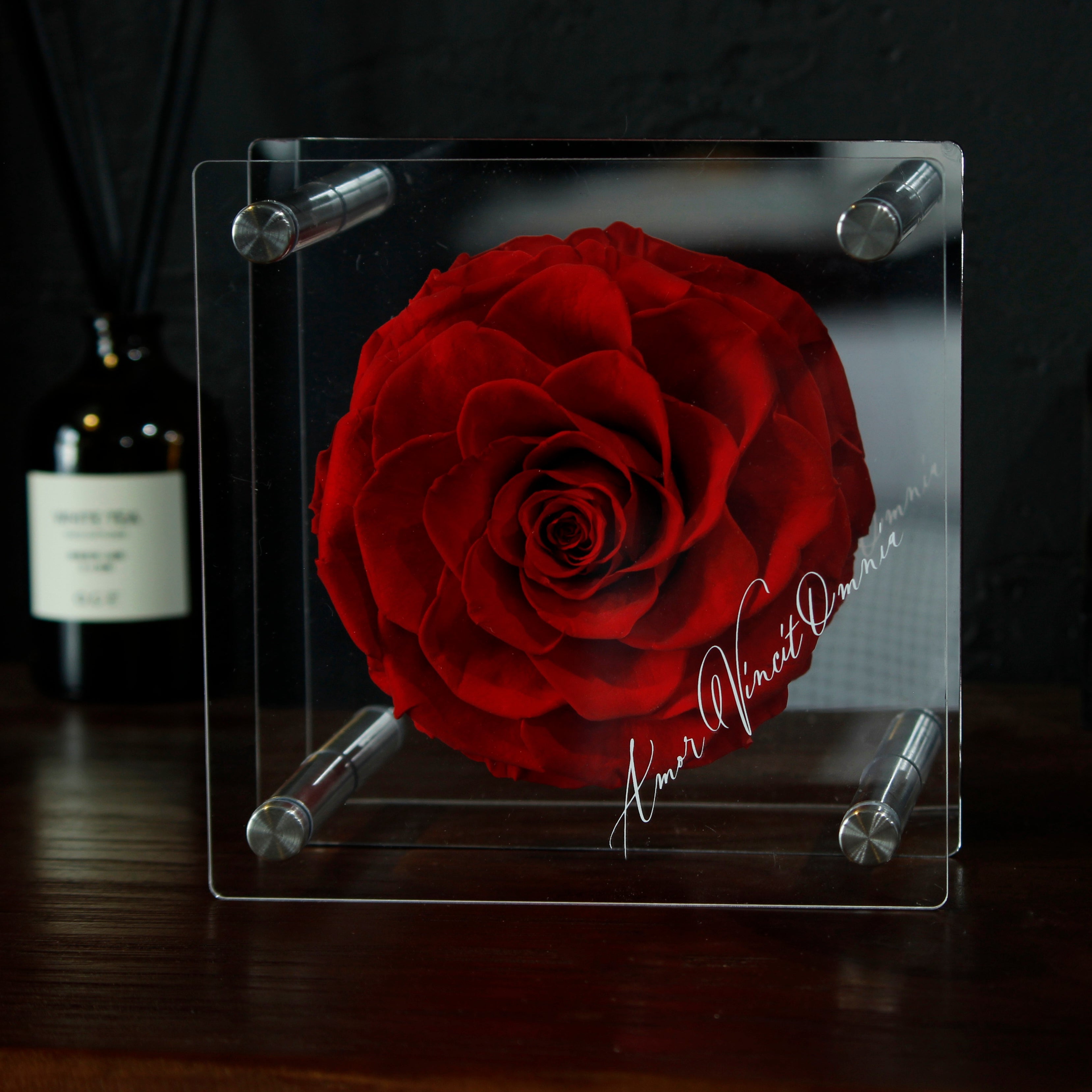 Preserved red rose in a clear acrylic frame on a dark surface luxury gift, ready to gift