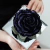 Giant Preserved Rose in Acrylic Box – Galaxy Dark