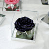 Giant Preserved Rose in Acrylic Box – Galaxy Dark