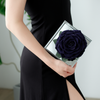 Giant Preserved Rose in Acrylic Box – Galaxy Dark