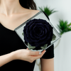 Giant Preserved Rose in Acrylic Box – Galaxy Dark
