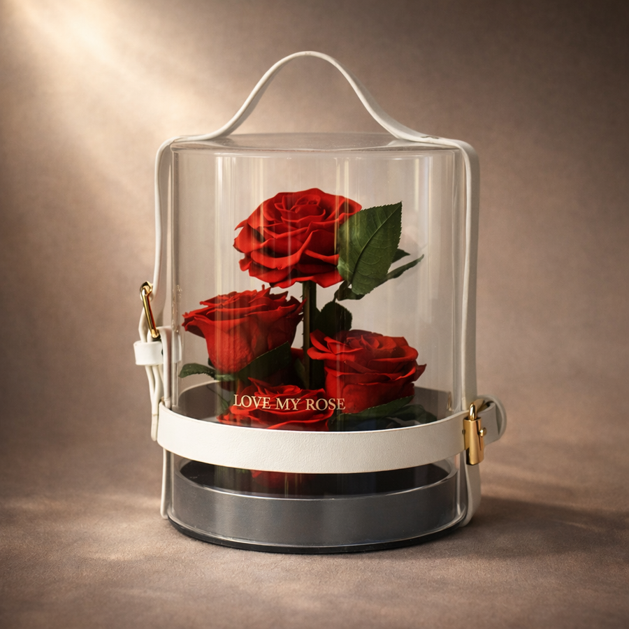 Clear acrylic holder with red preserved roses and 'Love My Rose' text on a brown background,  luxury gift, ready to gift