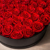 Black round box filled with red preserved roses close up, real rose lasts for years