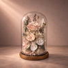 Blush Grand Dome