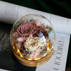 Preserved Flower - Dusty Pink Roses