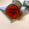 Mini Preserved Rose Box - You are the ONLY ONE!