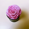 Mini Preserved Rose Box - You are the ONLY ONE