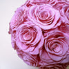 Preserved Roses Box - Round Dome - Pink - 24 Roses