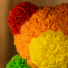 Rainbow Rose Bear with Bow -25cm