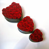 Preserved Roses Box – Heart Shape – Red – 20 Roses