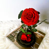 Preserved Rose Glass Dome – Large – Classic Red