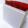 Preserved Roses Box Acrylic Cover – Square – Red –  16 Roses