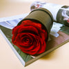 Mini Preserved Rose Box - You are the ONLY ONE!