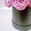 Preserved Roses Box - Round Dome - Pink - 24 Roses