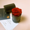 Mini Preserved Rose Box - You are the ONLY ONE!