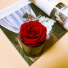 Mini Preserved Rose Box - You are the ONLY ONE!