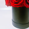 Preserved Roses Box - Round Dome - Red - 24 Roses