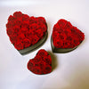 Preserved Roses Box – Heart Shape – Red – 20 Roses