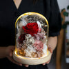 Trio Dome - Forever Rose in Glass Dome