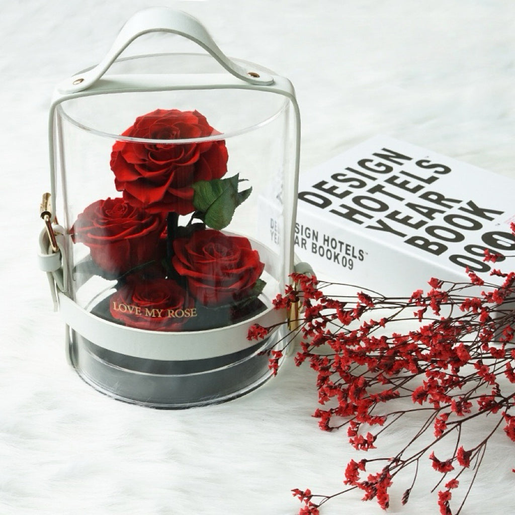 Crimson Voyage Preserved Roses Suitcase Acrylic Box