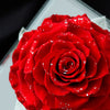 Giant Preserved Rose in Acrylic Box – Classic Red