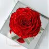Giant Preserved Eternal Red Rose in Acrylic Box