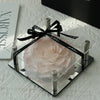Blush Pink Preserved Rose with Acrylic Cover