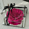 Preserved Rose in Acrylic Box – Floyd Hot Pink
