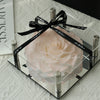 Blush Pink Preserved Rose with Acrylic Cover