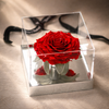 Giant Rose Acrylic Display - Everlasting Rose Box