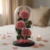 Preserved Triple Dusty Pink Roses Tower Dome