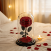 Preserved Single Burgundy Red Rose Dome-Small