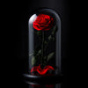 Preserved Single Large Red Rose Dome