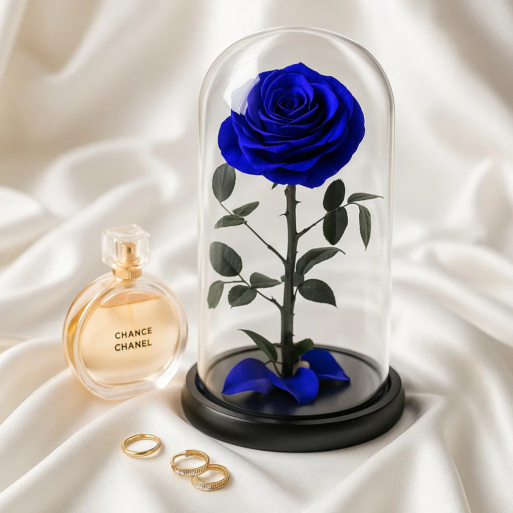Blue rose in a glass dome with Chanel perfume and rings on a white fabric background